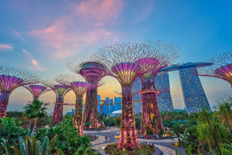 gardens by the bay, singapore