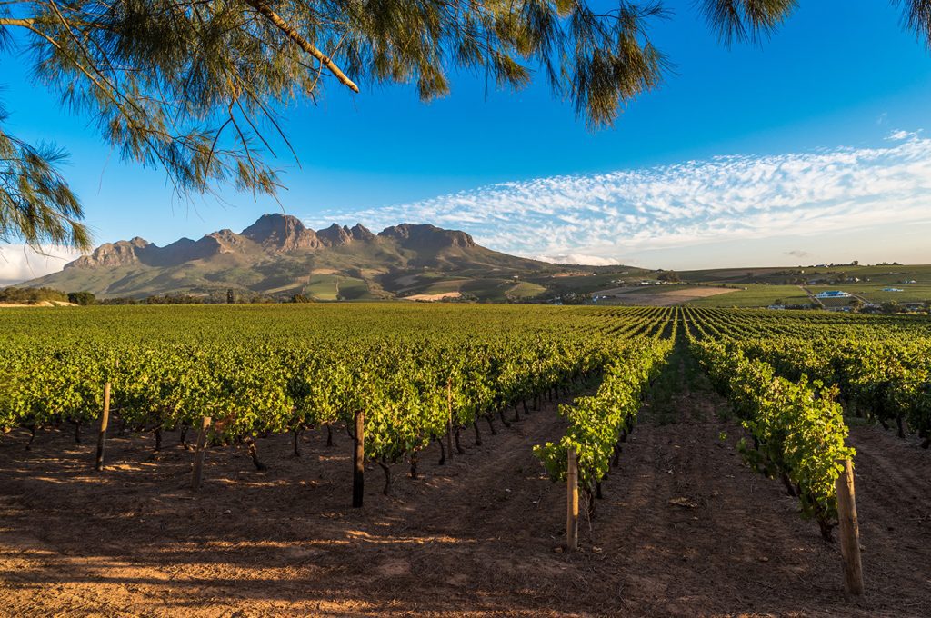 South Africa Holidays