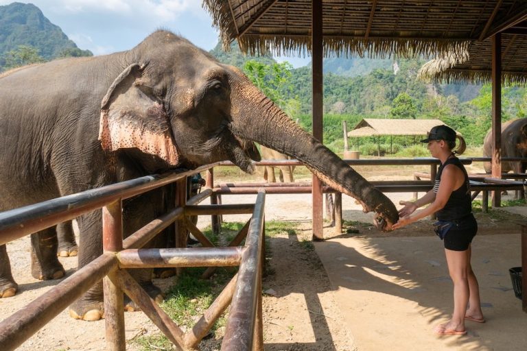 elephant hills in phuket