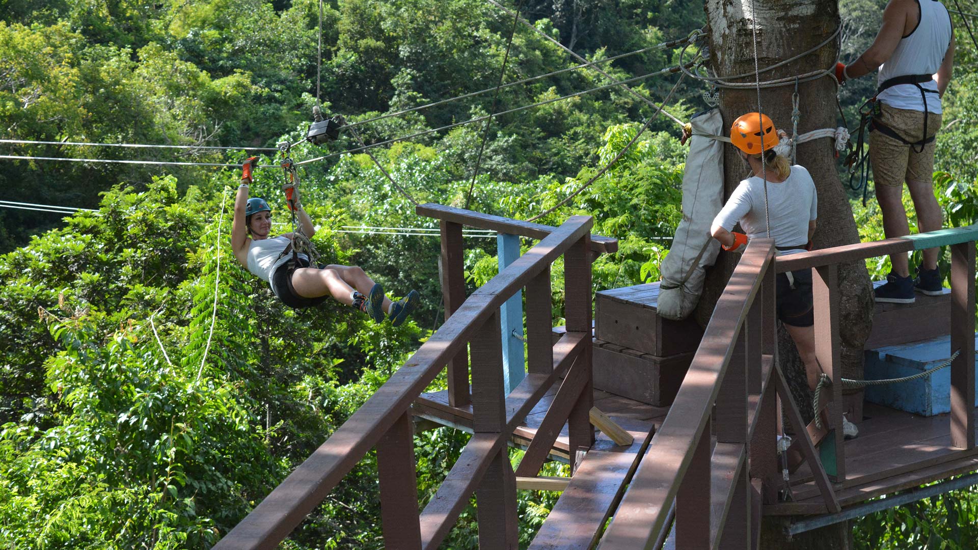 Antigua-Rainforest-Canopy-tower