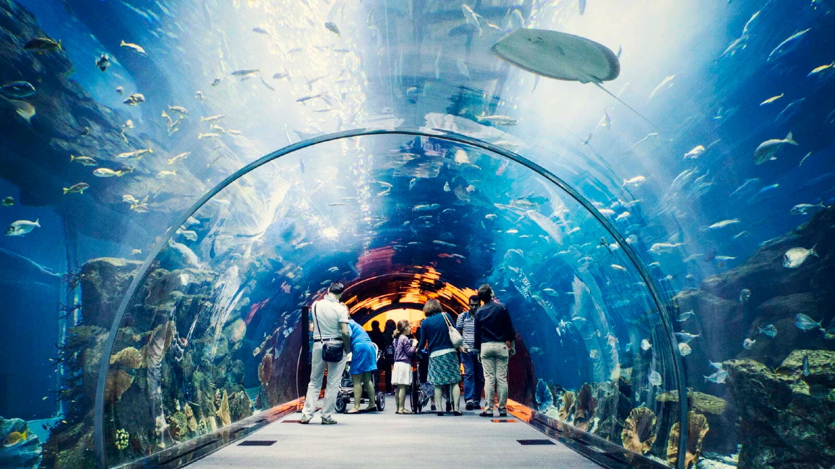 Dubai Mall Aquarium