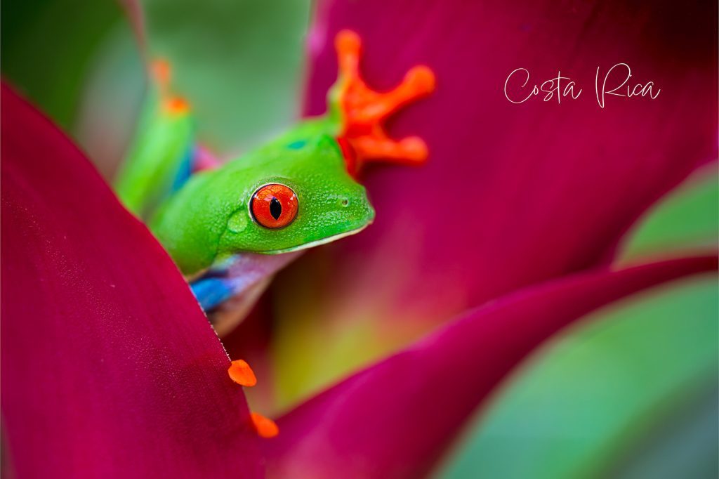 Costa Rica Holidays