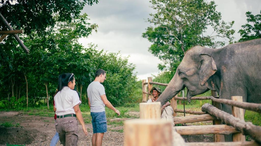 meeting-the-elephants
